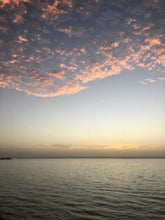 Load image into Gallery viewer, Sacha Haillote, upside down, 2020