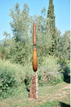 Charger l'image dans la galerie, Antoine Pierini, Arbres repères, 2022
