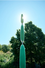 Charger l'image dans la galerie, Antoine Pierini, Arbres repères, 2022
