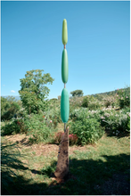 Charger l'image dans la galerie, Antoine Pierini, Arbres repères, 2022
