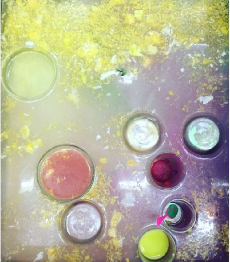 Plongée colorée II, Sacha Haillote