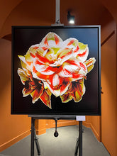 Load image into Gallery viewer, Stephane DE BOURGIES, Amaryllis, 2022
